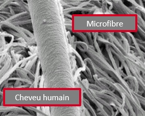 Microfibre-cheveu humain.png