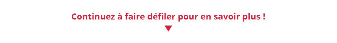 Section 1E FR.png