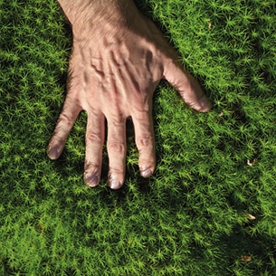 A hand grabbing green grass to illustrate the impact of sustainable cleaning solutions on the product handprint.